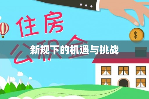伍家岗新规下的机遇与挑战