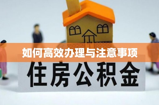 伍家岗如何高效办理与注意事项