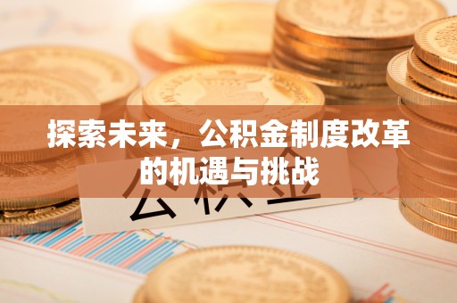 伍家岗探索未来，公积金制度改革的机遇与挑战