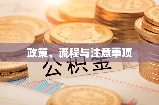伍家岗政策、流程与注意事项