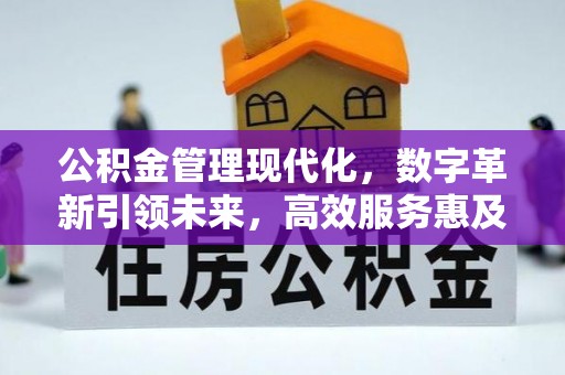 伍家岗公积金管理现代化，数字革新引领未来，高效服务惠及民生
