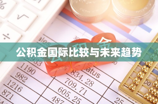 伍家岗公积金国际比较与未来趋势