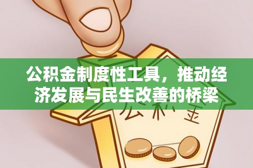 伍家岗公积金制度性工具，推动经济发展与民生改善的桥梁