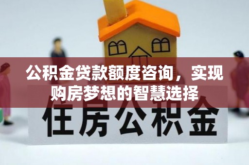 伍家岗公积金贷款额度咨询，实现购房梦想的智慧选择