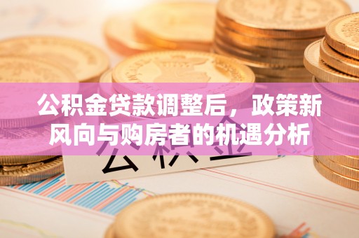伍家岗公积金贷款调整后，政策新风向与购房者的机遇分析