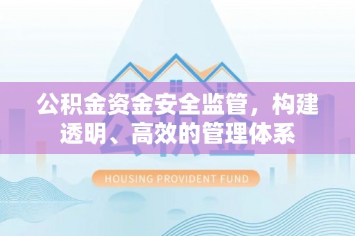 伍家岗公积金资金安全监管，构建透明、高效的管理体系