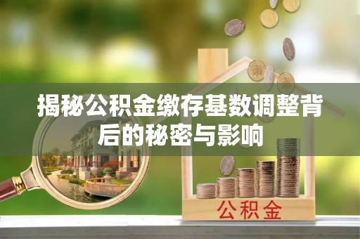 伍家岗揭秘公积金缴存基数调整背后的秘密与影响