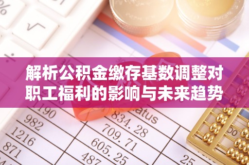 伍家岗解析公积金缴存基数调整对职工福利的影响与未来趋势