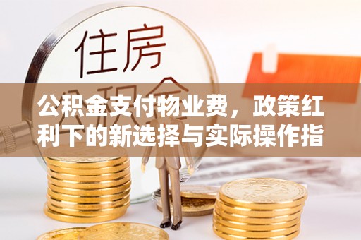 伍家岗公积金支付物业费，政策红利下的新选择与实际操作指南