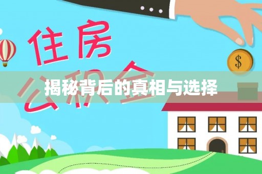 伍家岗揭秘背后的真相与选择