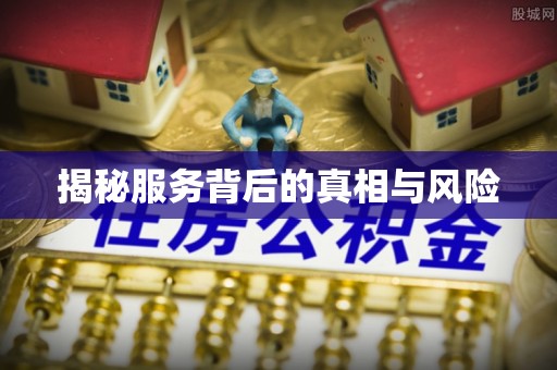 伍家岗揭秘服务背后的真相与风险