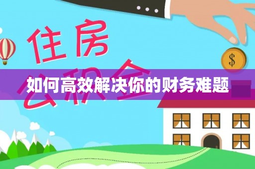 伍家岗如何高效解决你的财务难题