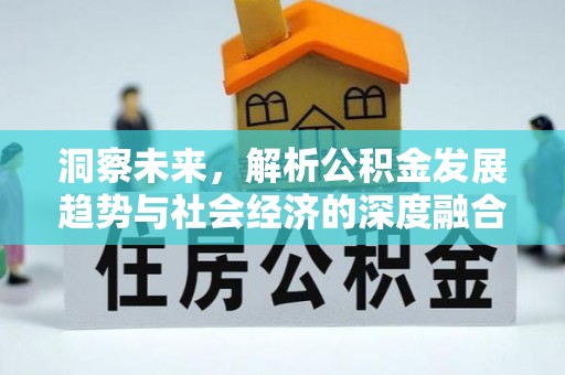 伍家岗洞察未来，解析公积金发展趋势与社会经济的深度融合