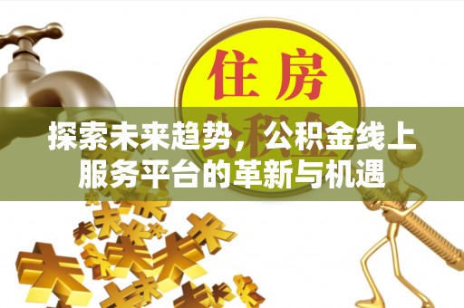 伍家岗探索未来趋势，公积金线上服务平台的革新与机遇