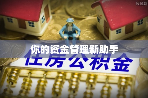 伍家岗你的资金管理新助手
