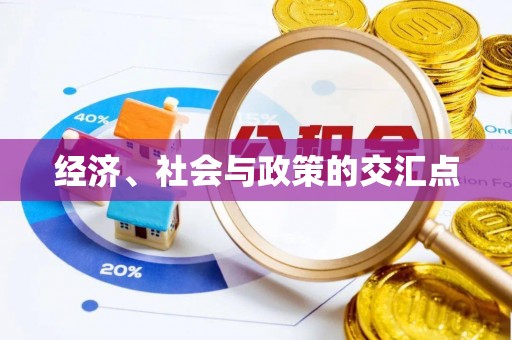 伍家岗经济、社会与政策的交汇点