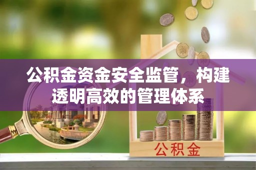 伍家岗公积金资金安全监管，构建透明高效的管理体系