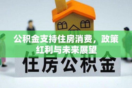 伍家岗公积金支持住房消费，政策红利与未来展望