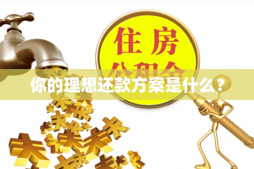 伍家岗你的理想还款方案是什么？