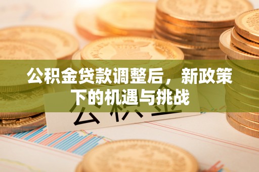 伍家岗公积金贷款调整后，新政策下的机遇与挑战
