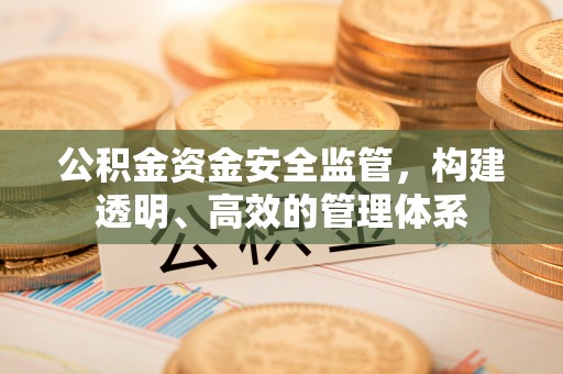 伍家岗公积金资金安全监管，构建透明、高效的管理体系