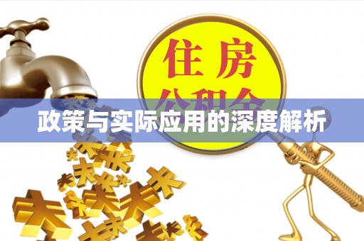 伍家岗政策与实际应用的深度解析