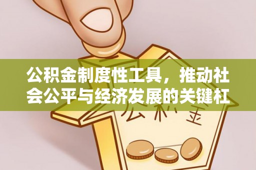 伍家岗公积金制度性工具，推动社会公平与经济发展的关键杠杆