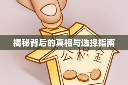伍家岗揭秘背后的真相与选择指南