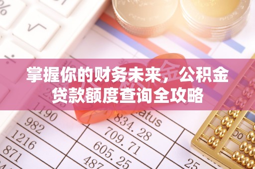 伍家岗掌握你的财务未来，公积金贷款额度查询全攻略