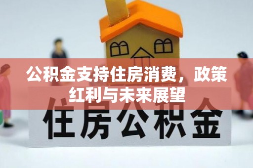 伍家岗公积金支持住房消费，政策红利与未来展望