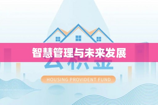 伍家岗智慧管理与未来发展