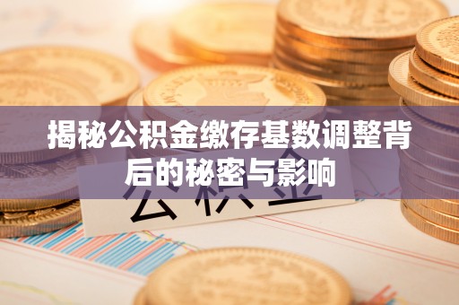 伍家岗揭秘公积金缴存基数调整背后的秘密与影响
