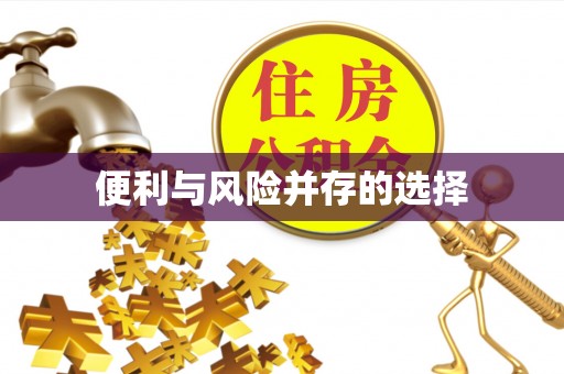 伍家岗便利与风险并存的选择