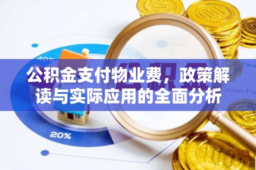 伍家岗公积金支付物业费，政策解读与实际应用的全面分析