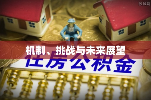 伍家岗机制、挑战与未来展望
