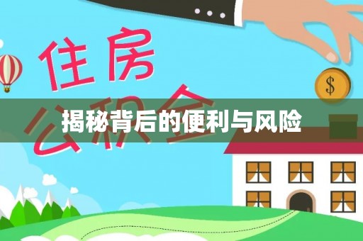 伍家岗揭秘背后的便利与风险