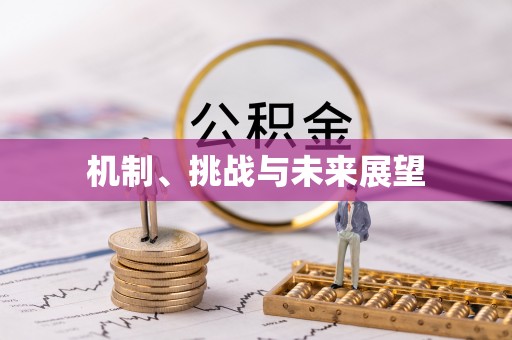 伍家岗机制、挑战与未来展望